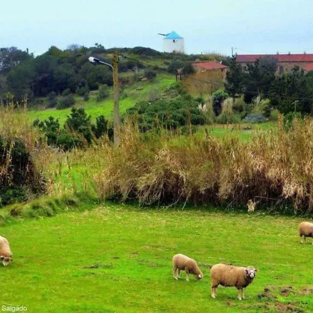 Holiday home Casas Com Amor In Serra Da Pescaria Nazare